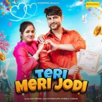 Teri Meri Jodi mp3 download