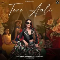 Tere Aali mp3 download