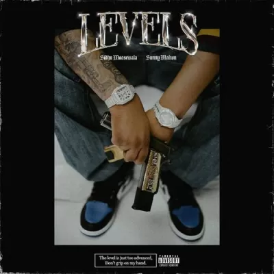 Levels feat. Sunny Malton By Sidhu Moose Wala album cover 